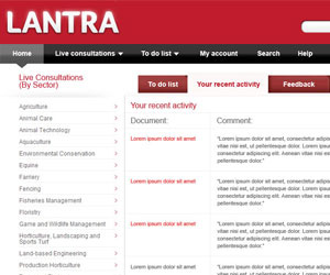 Lantra: Web design for an online document consultation tool